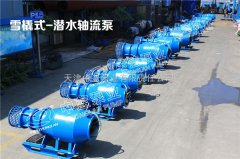 潜水轴流泵各种安装方式可定制